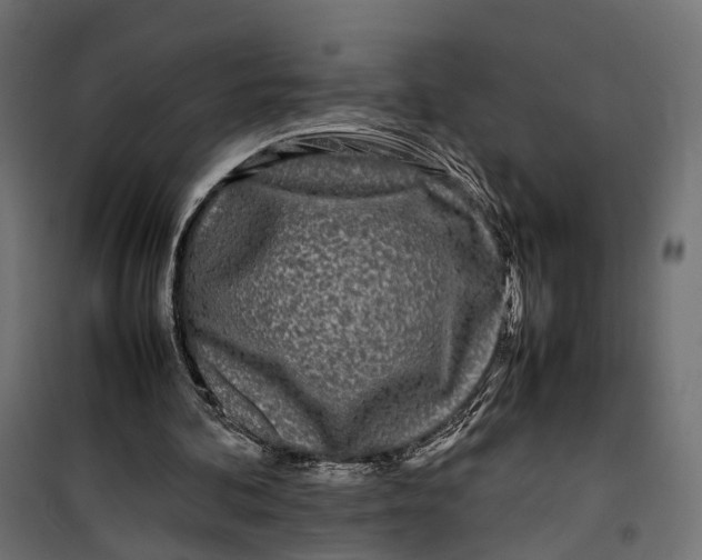 X0000099940292200806201127