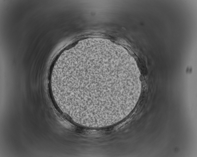 X0000099940293200806201127