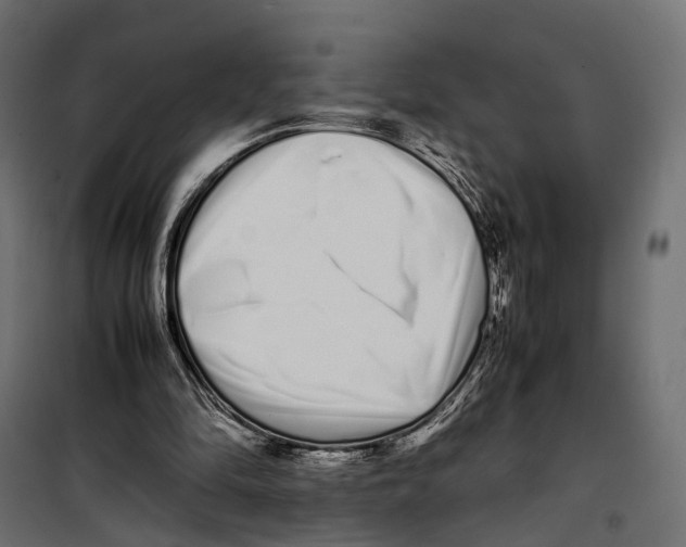 X0000099940294200806201127