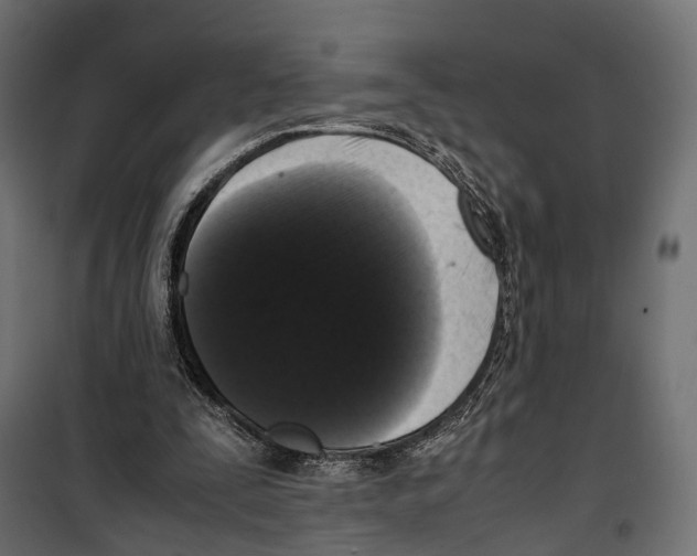 X0000099940295200806201127