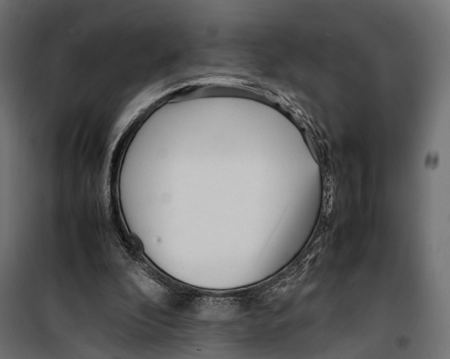 X0000099940296200806201127