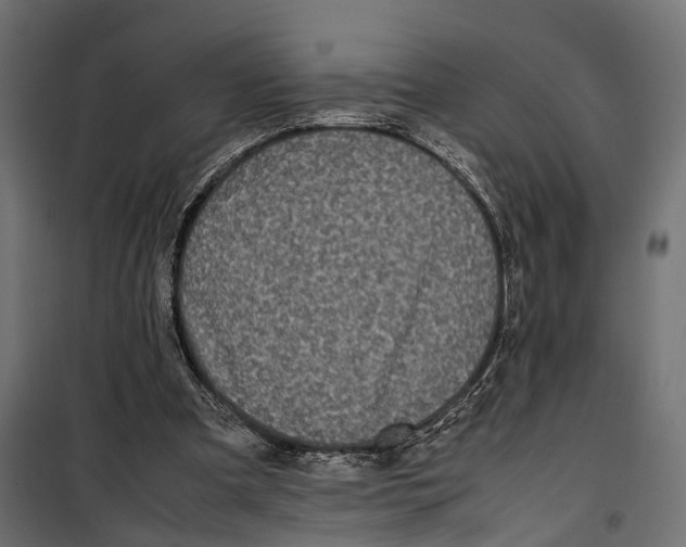 X0000099940297200806201127