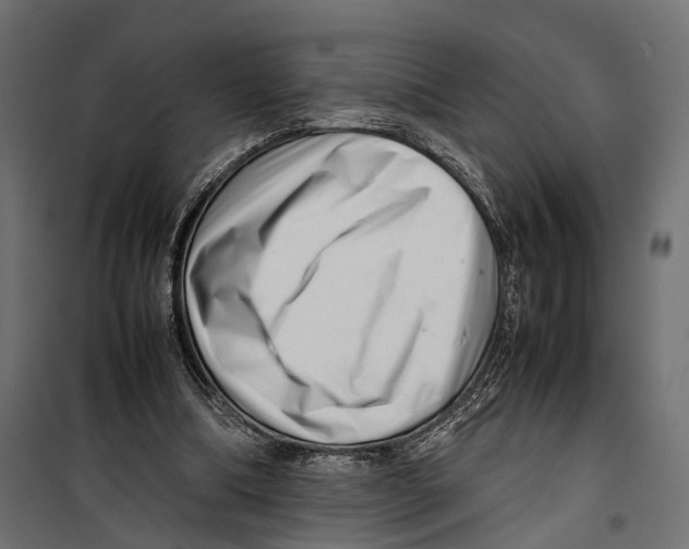 X0000099940298200806201127