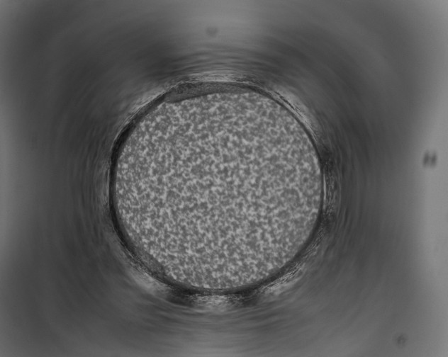 X0000099940301200806201127