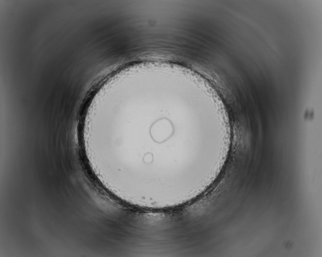 X0000099940302200806201127
