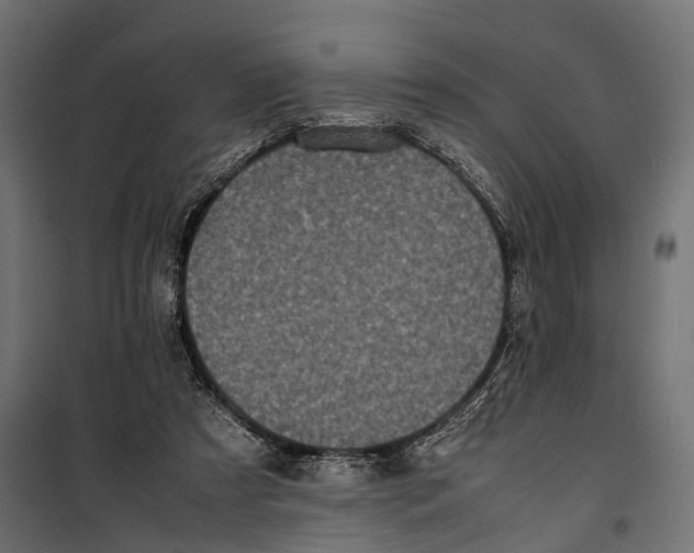 X0000099940305200806201127