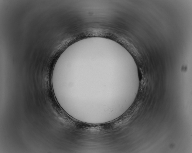 X0000099940306200806201127