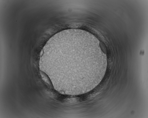 X0000099940307200806201127