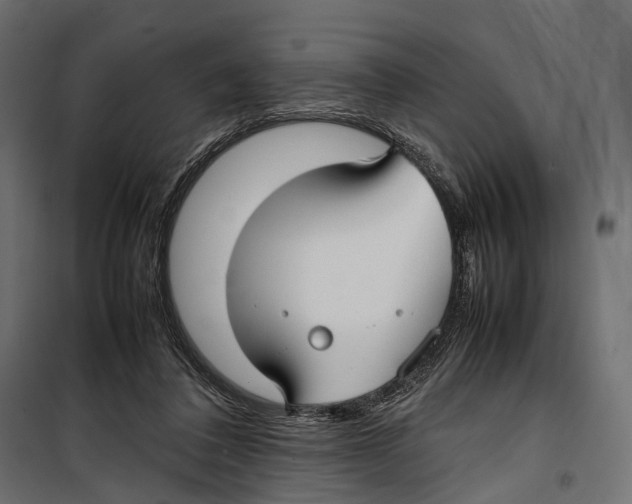 X0000099940308200806201127