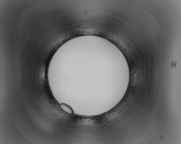 X0000099940310200806201127