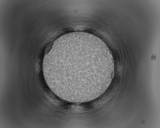 X0000099940311200806201127