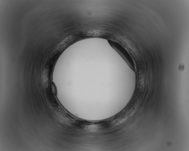 X0000099940312200806201127