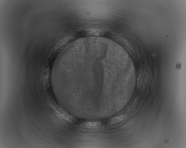 X0000099940314200806201127