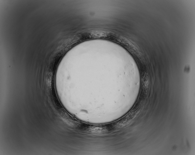 X0000099940315200806201127