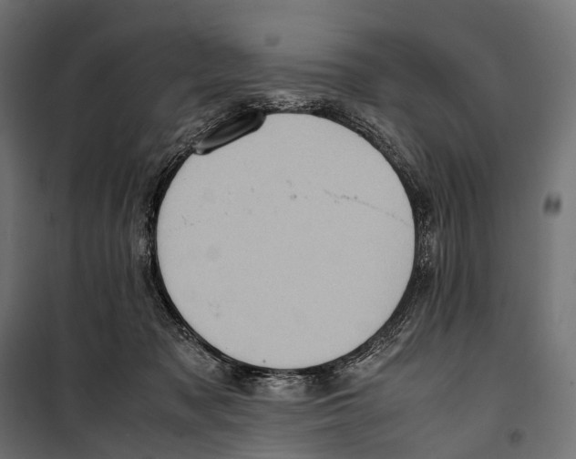X0000099940317200806201127