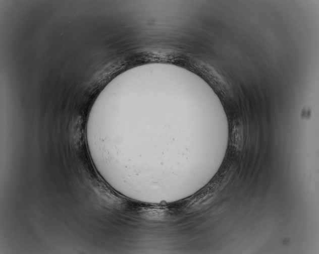 X0000099940318200806201127