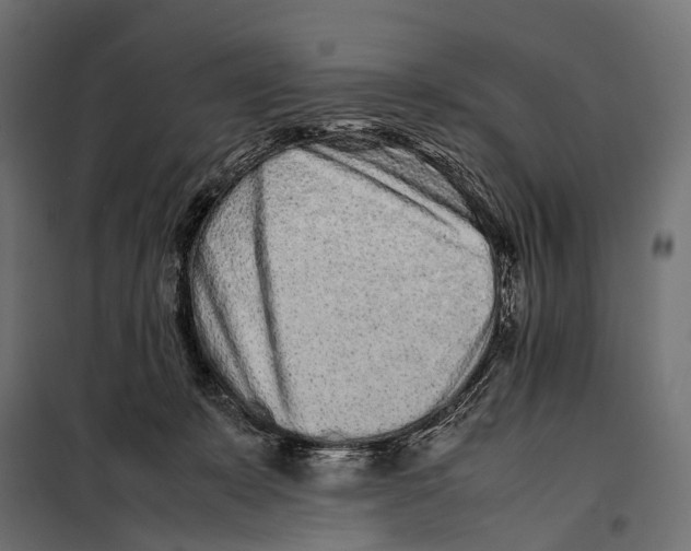 X0000099940319200806201127