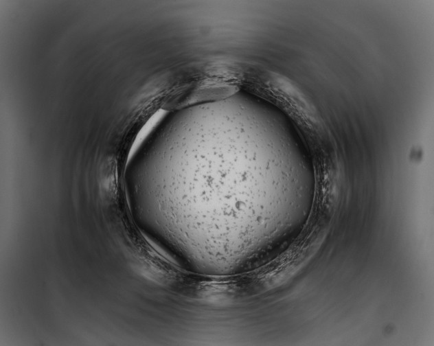 X0000099940320200806201126