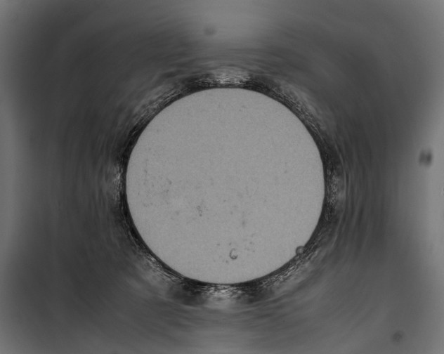 X0000099940321200806201126