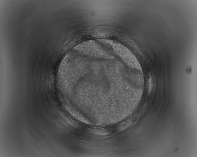X0000099940322200806201126