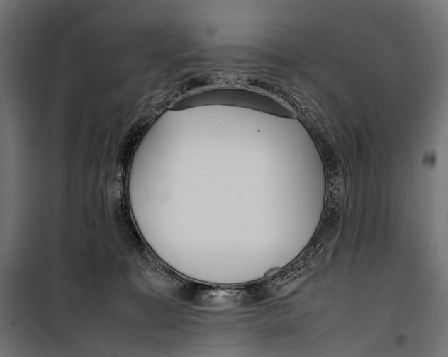 X0000099940323200806201126