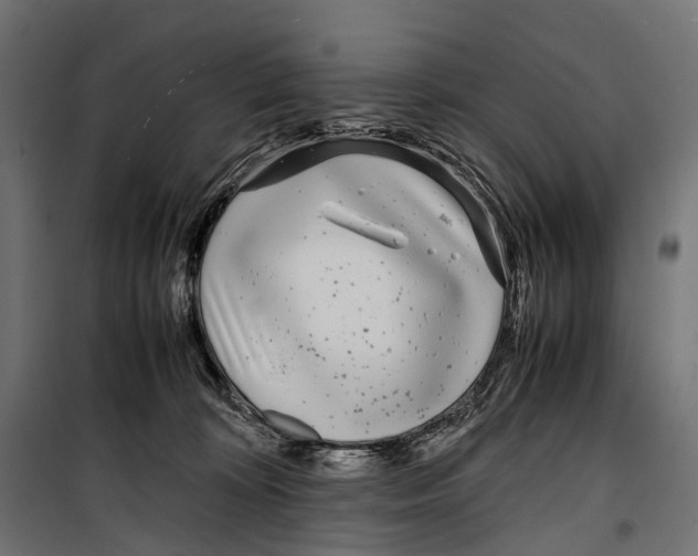 X0000099940324200806201126