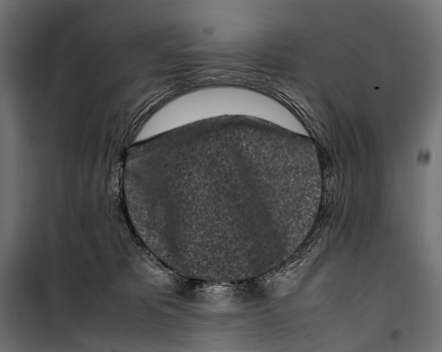 X0000099940325200806201126