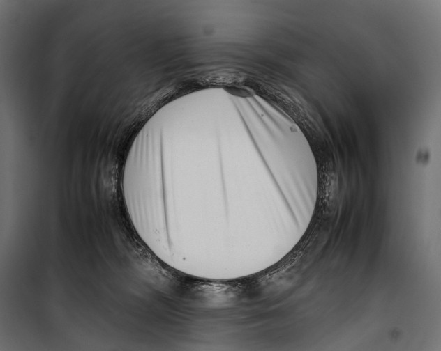X0000099940326200806201126