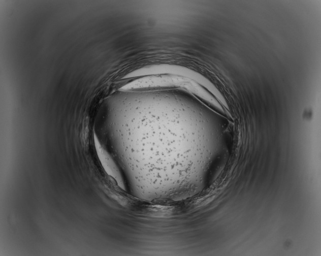 X0000099940328200806201126