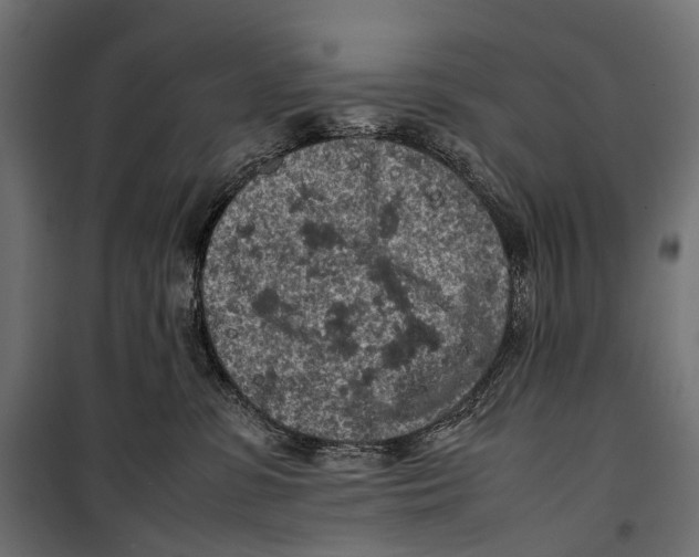 X0000099940331200806201126