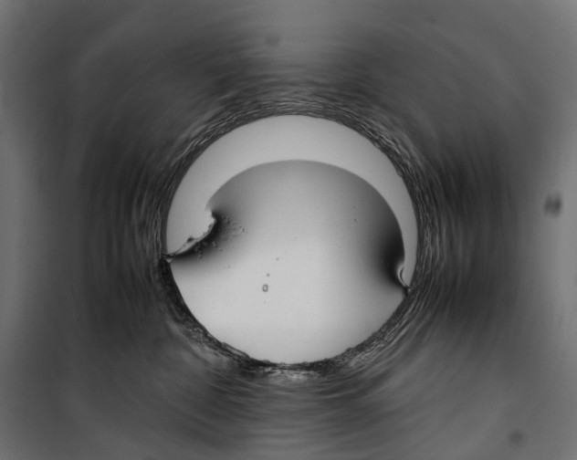 X0000099940332200806201126