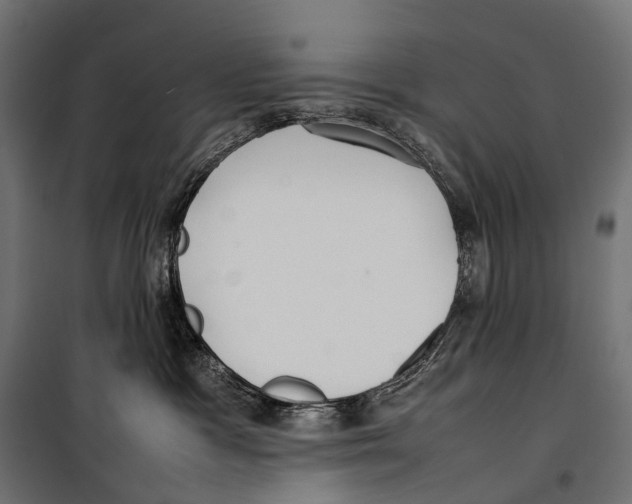 X0000099940333200806201126