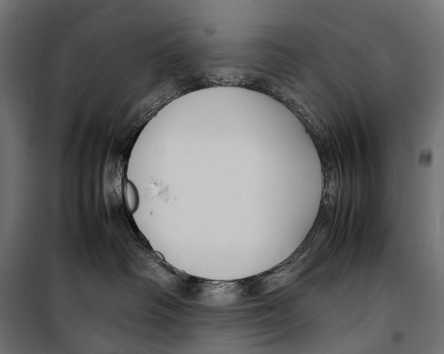X0000099940334200806201126