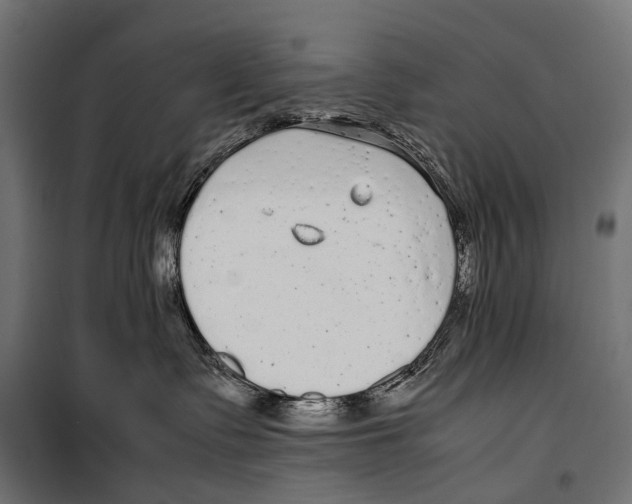 X0000099940335200806201126