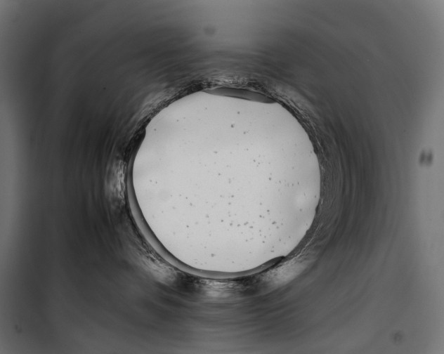 X0000099940336200806201126