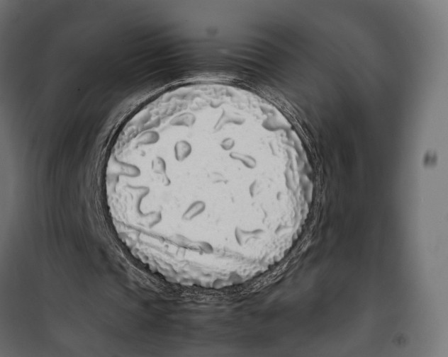 X0000099940337200806201126