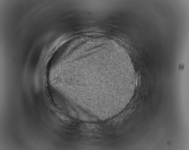 X0000099940339200806201126