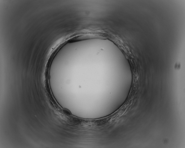 X0000099940340200806201126