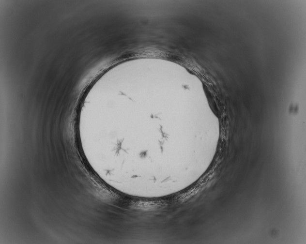 X0000099940341200806201126