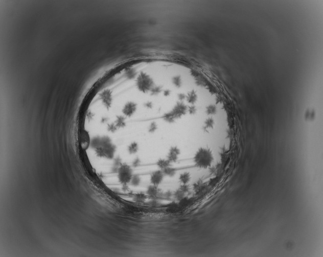 X0000099940342200806201126