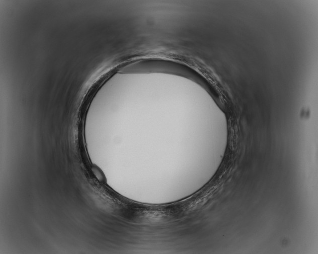 X0000099940344200806201126