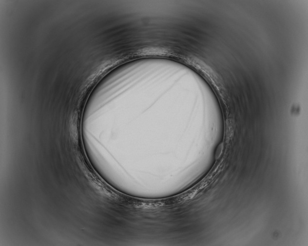 X0000099940345200806201126