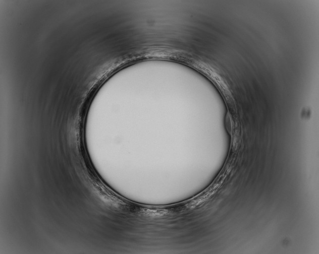 X0000099940346200806201126