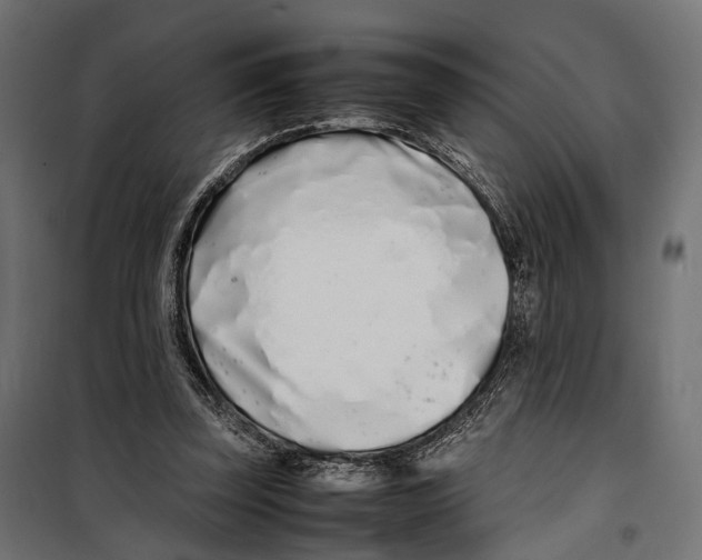 X0000099940347200806201126