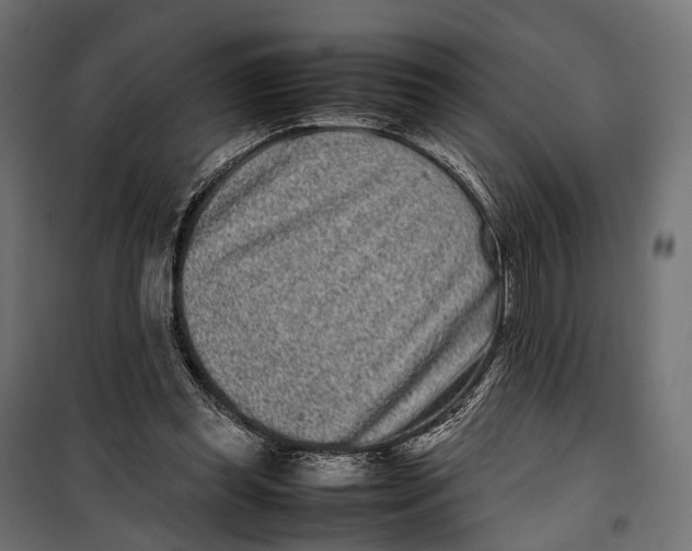 X0000099940349200806201126