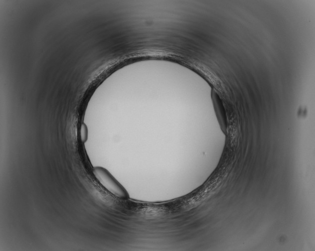 X0000099940350200806201126