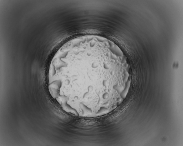 X0000099940351200806201126
