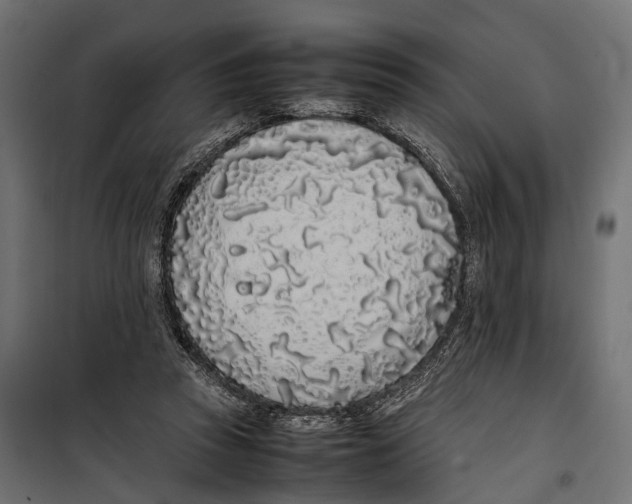 X0000099940353200806201126