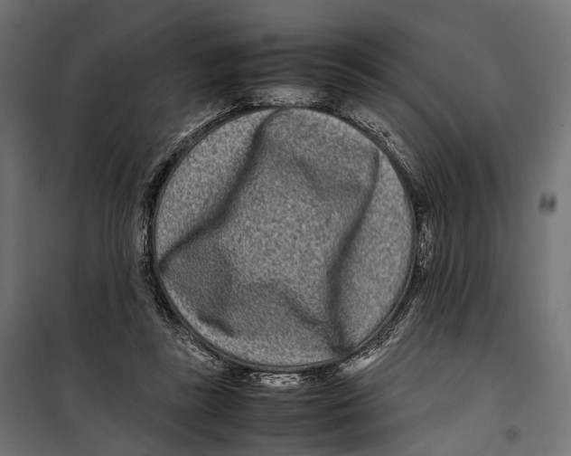 X0000099940355200806201126