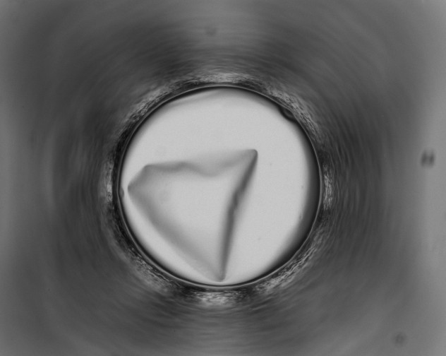 X0000099940358200806201126